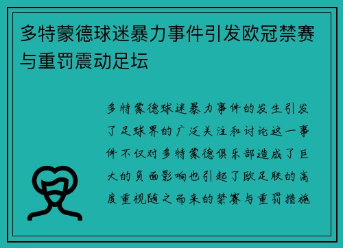 多特蒙德球迷暴力事件引发欧冠禁赛与重罚震动足坛
